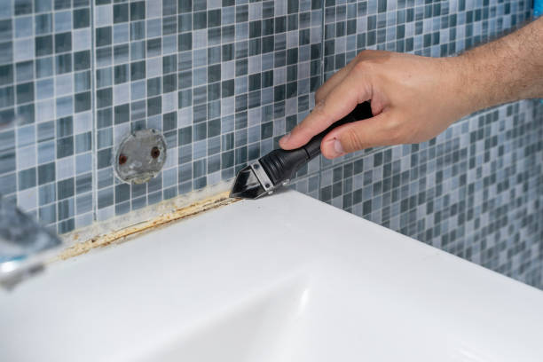 Best Mold Testing and Inspection Services in Calverton, NY