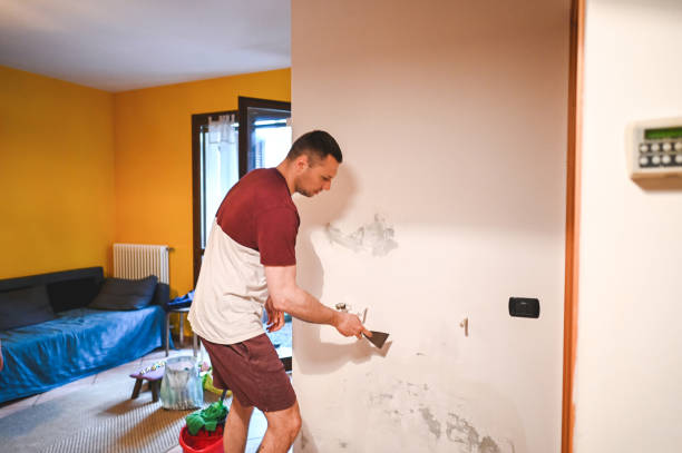 Best Emergency Mold Remediation in Calverton, NY