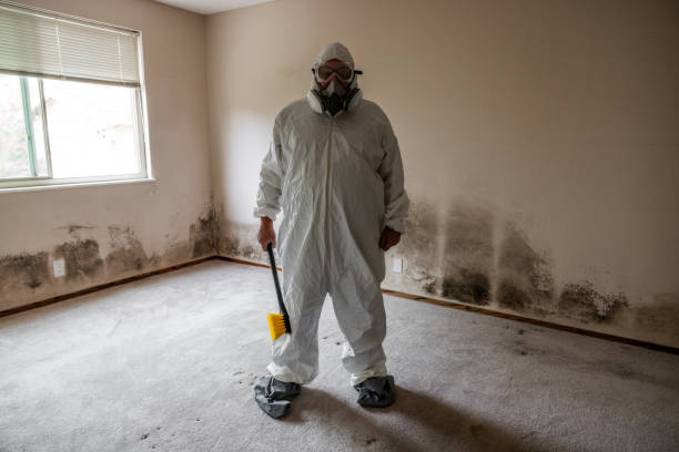 Best Commercial Mold Remediation in Calverton, NY